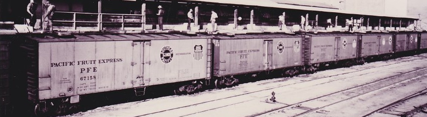 Ice House Reefer Line - photo
